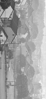 【静美时分】+迷雾江南