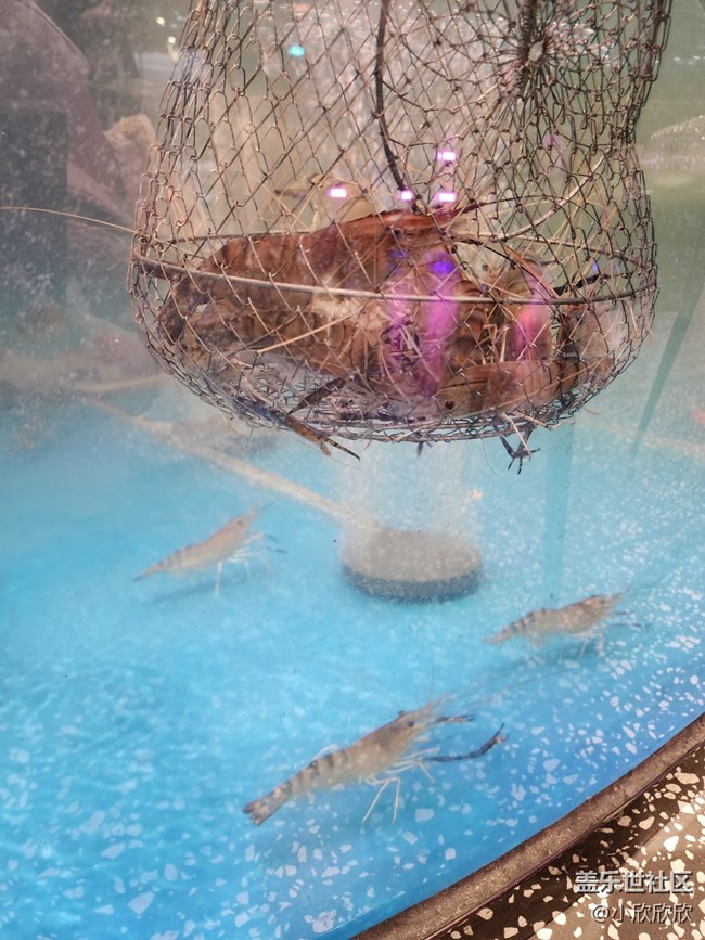 钓虾时刻线下摄影活动