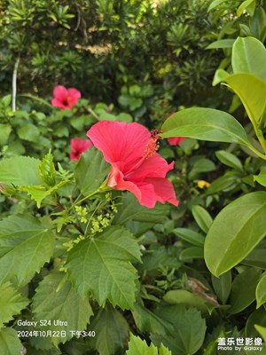 【我眼前的世界】花花的世界
