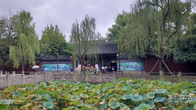 上周末去了杭州，带大家看一下雨后的西湖