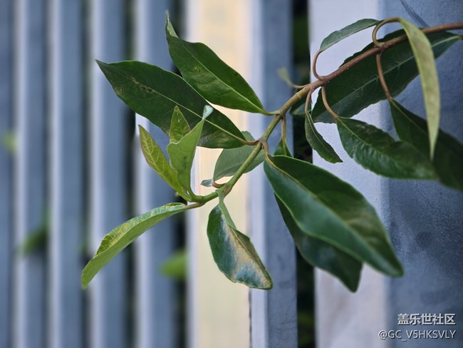 #十月中的小美好——发现