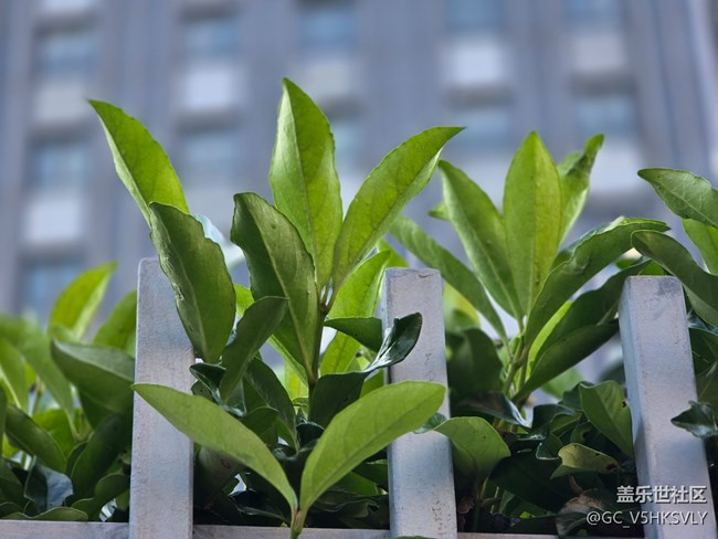 #十月中的小美好——发现