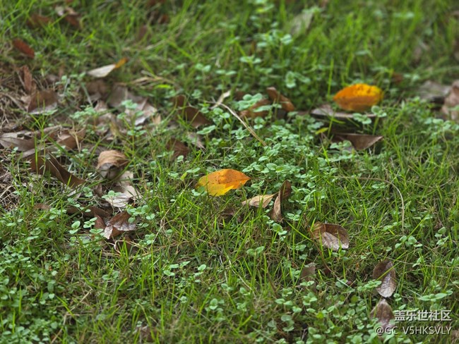 #十月中的小美好——发现