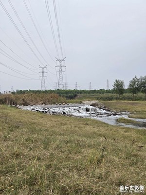【我眼前的世界】+上班路上的风景