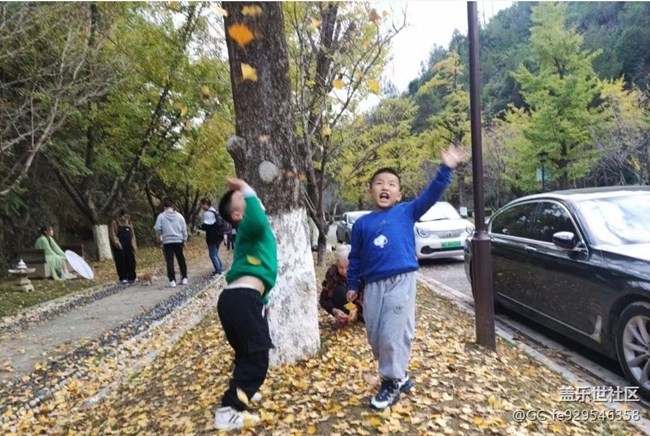 【与国同庆】落叶