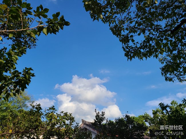 【最美秋色醉人心】+美丽秋天