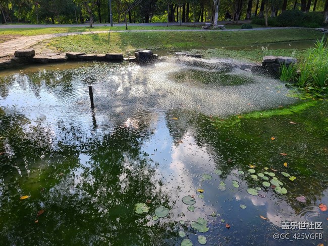 【最美秋色醉人心】+美丽秋天