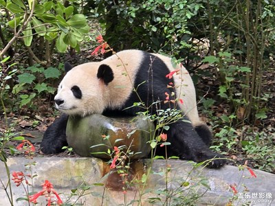 随手拍