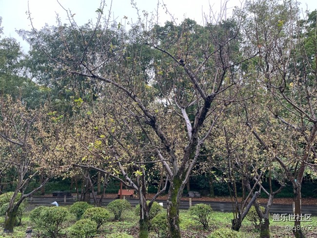 【上海植物园线下摄影活动】+上海植物园打卡摄影回顾