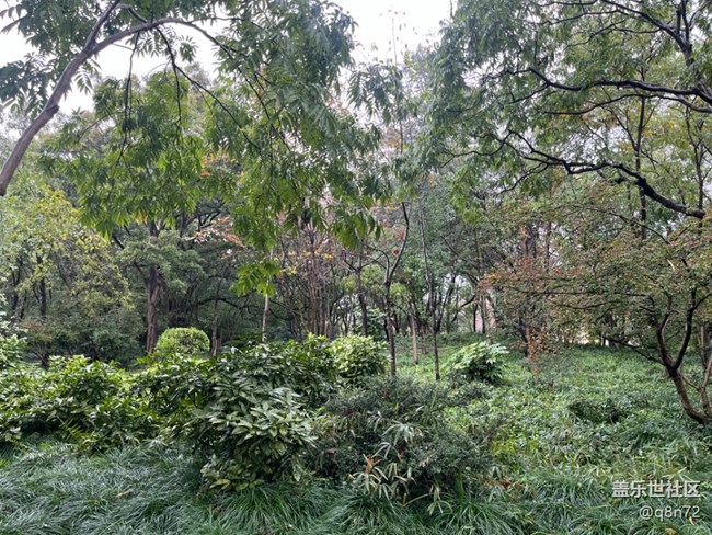 【上海植物园线下摄影活动】+上海植物园打卡摄影回顾