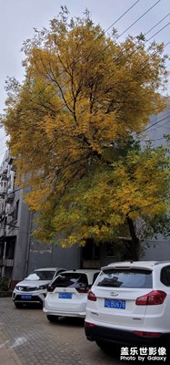【我眼前的世界】+随手拍
