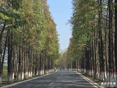 江西南昌塔城乡公路