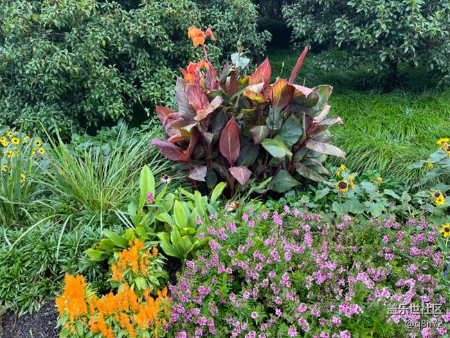 【上海植物园线下摄影活动】+上海植物园打卡摄影回顾