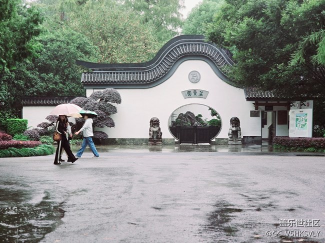 【上海植物园线下摄影活动】+适时地放松一下