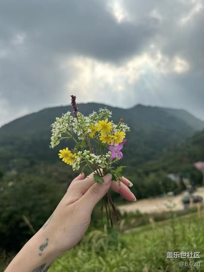 【Galaxy影像】自然的律动+ 户外