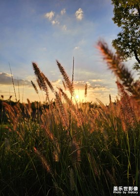 【我眼前的世界】+夕阳西下