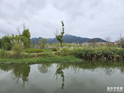 随手拍