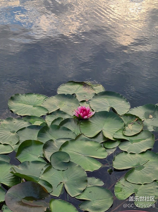 #十月中的小美好——生活中的美好