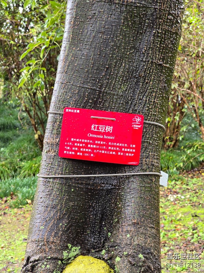 上海植物园线下摄影活动回顾