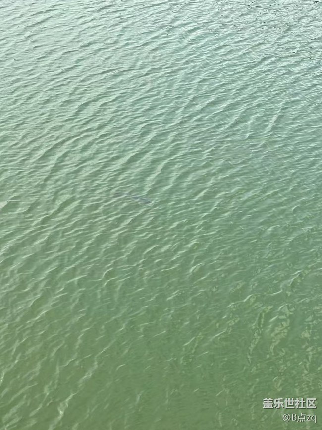 【Galaxy影像】自然的律动+ 户外