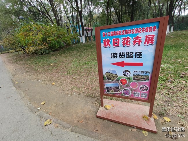 【奥森北园】+花海与灯光奥森