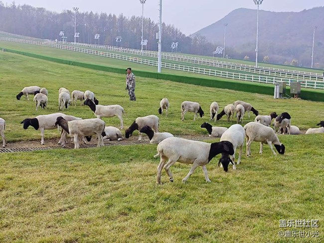 沈阳星部落云端草原行行摄摄活动回顾