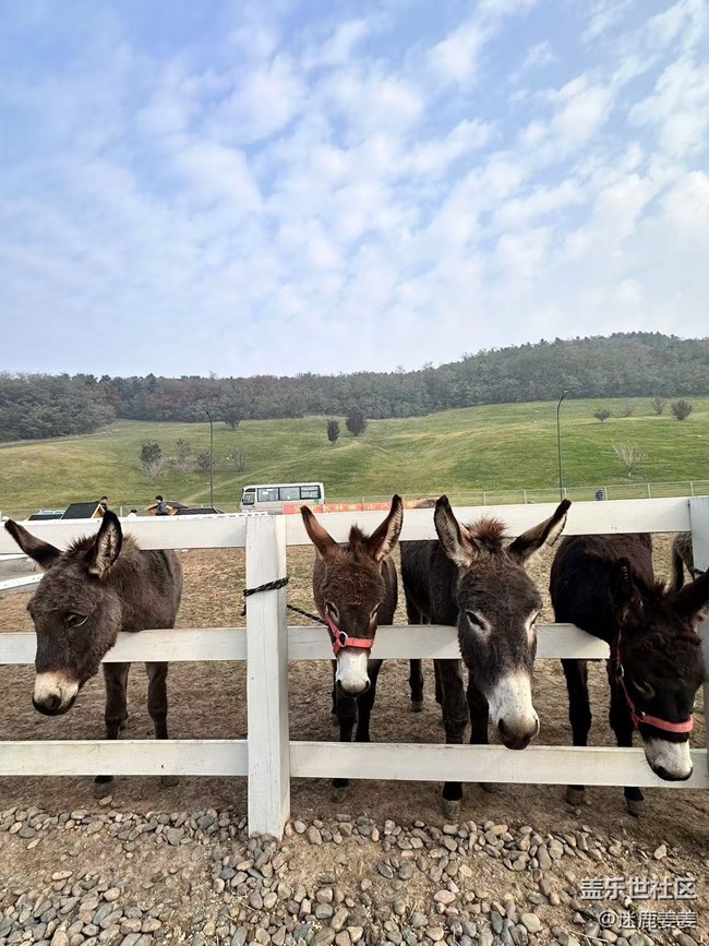 【回顾贴】秋意浓，云端草原风景独美
