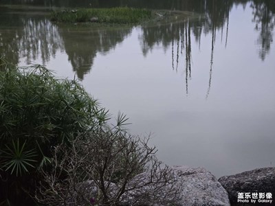 【我眼前的世界】+临近傍晚
