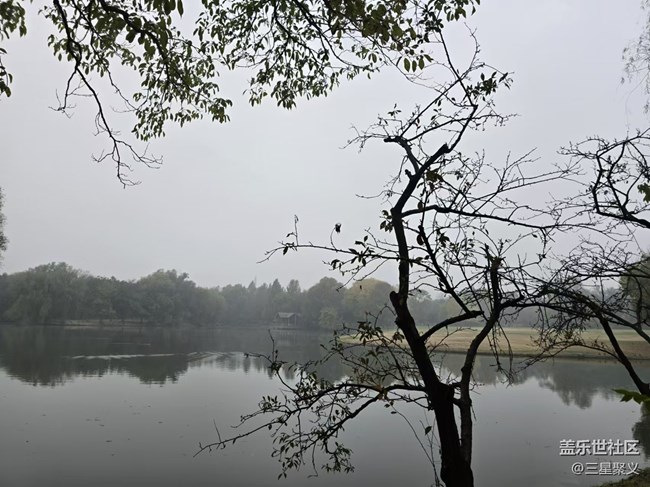 【我和我的祖国】浓雾下的湖边