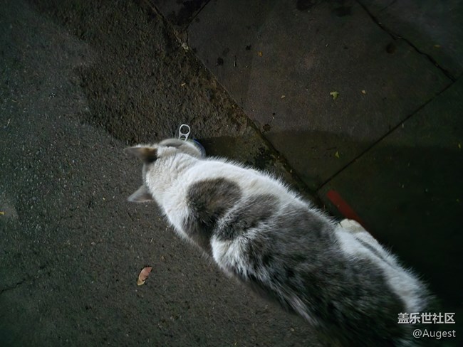 【秋韵养生】散步