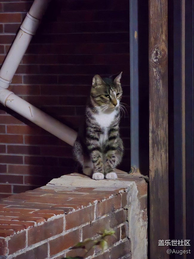 【秋韵养生】散步