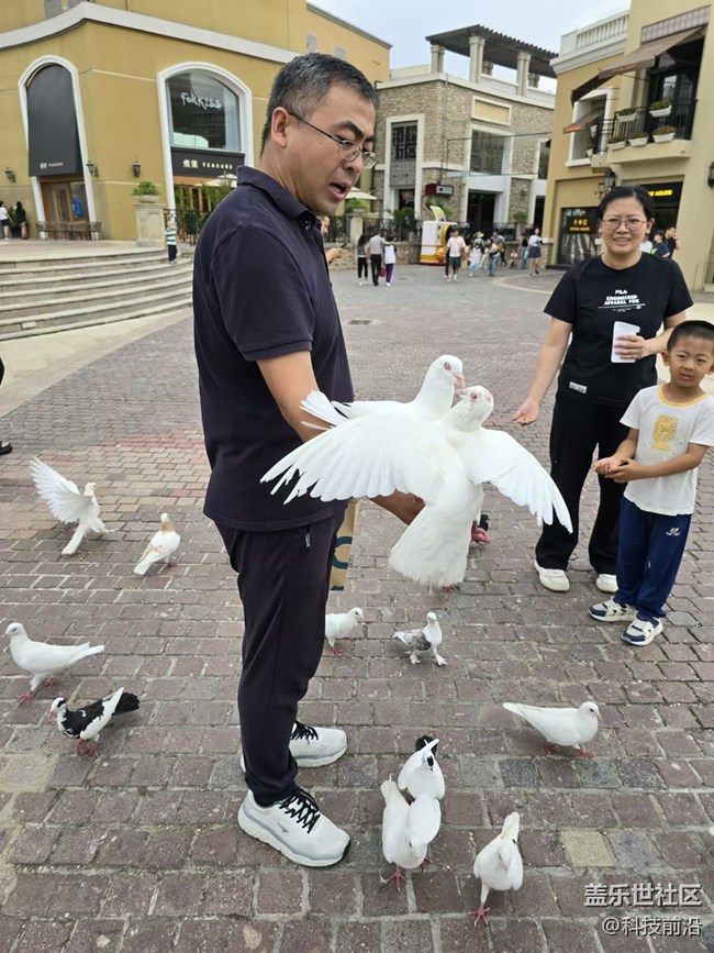 【我和我的祖国】和平鸽与人共舞