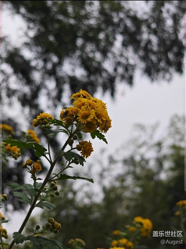 【秋韵养生】日常