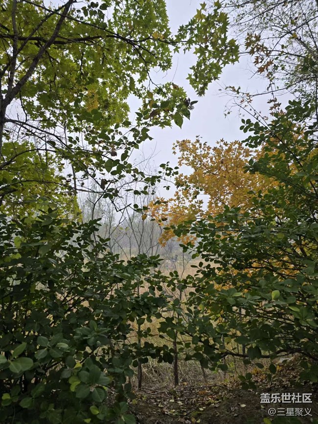 【我和我的祖国】祖国的大好河山