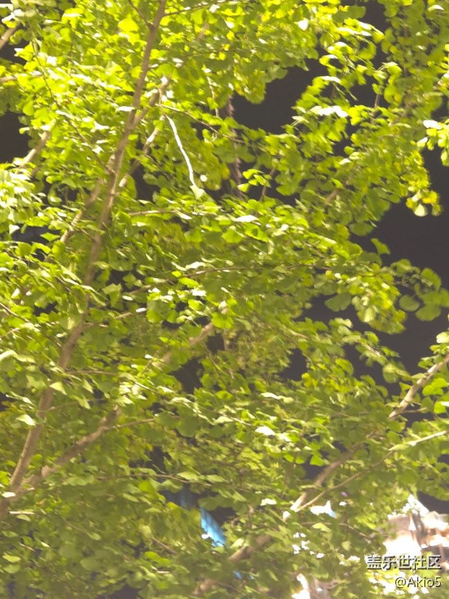 【秋韵养生】