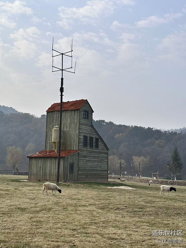 【回顾贴】秋意浓，云端草原风景独美