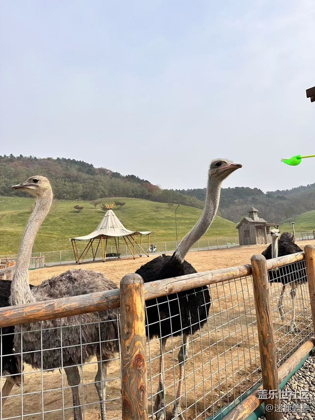 【回顾贴】秋意浓，云端草原风景独美