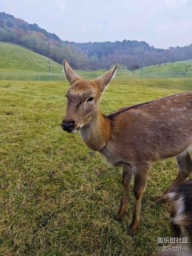 沈阳星部落云端草原行行摄摄活动回顾