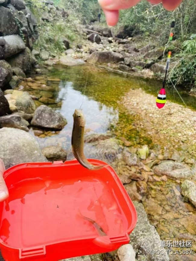 【最美秋色醉人心】山里钓鱼