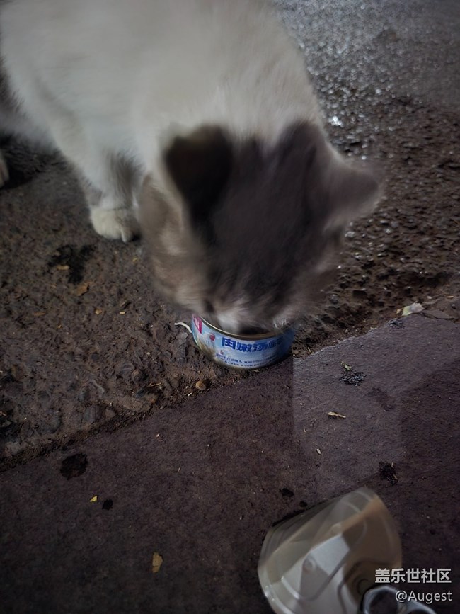 【秋韵养生】散步