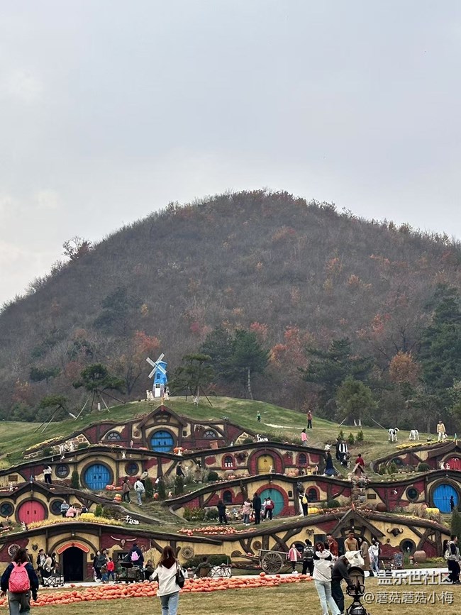 【回顾贴】抓住秋天的小尾巴，东北亚云端草原游