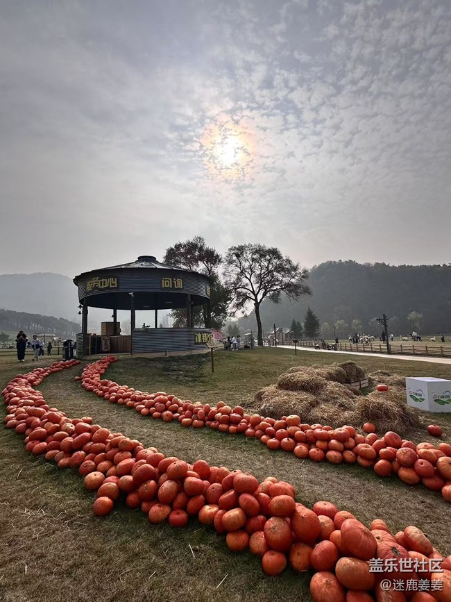 【回顾贴】秋意浓，云端草原风景独美