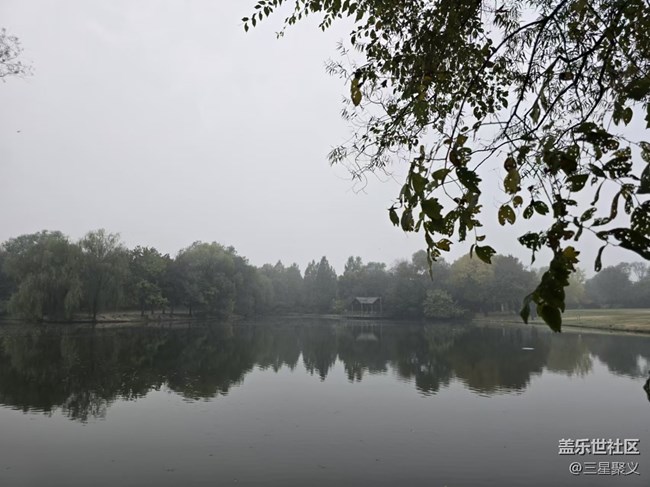 【我和我的祖国】浓雾下的湖边