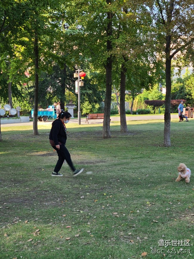 【十月开心游】十月游园