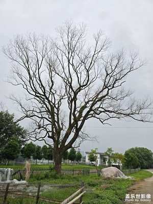 随手拍