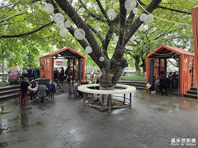 【我眼前的世界】雨润的美景于生活