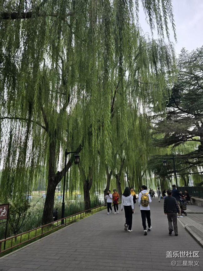 【我和我的祖国】祖国的大好河山