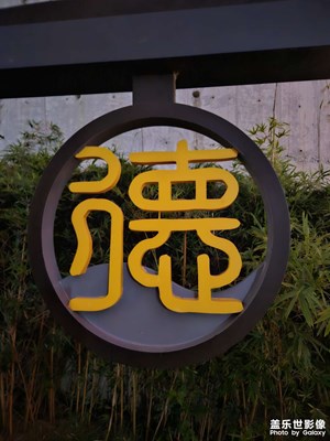 【生活礼赞】+ 行摄湿地