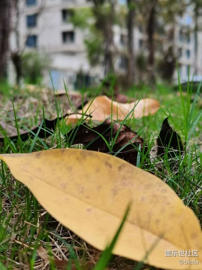 【Galaxy影像】自然的律动+ 秋天的颜色