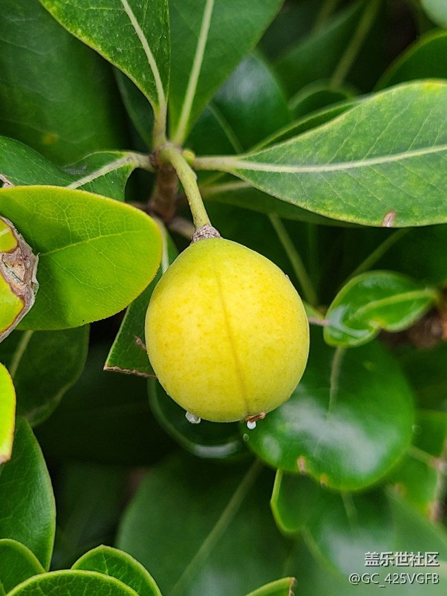 【十月的蜀国】+ 美丽十月